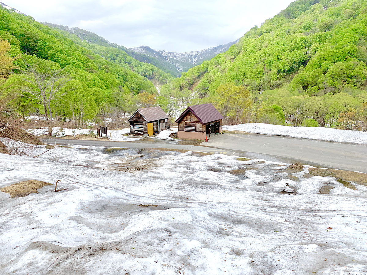 雨飾高原キャンプ場登山道